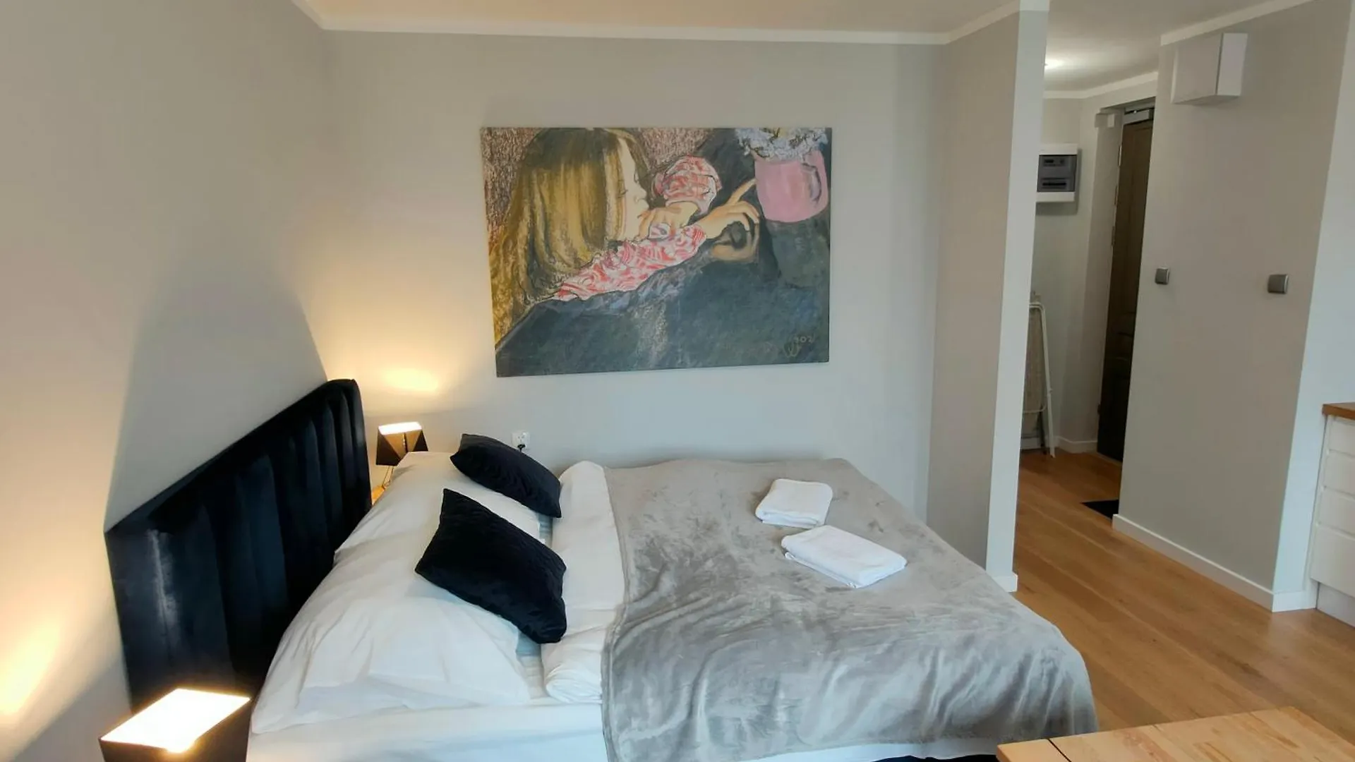 Hugo Vip Apartments Krakau